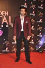 Karan Johar at Colors Golden Petal Awards 2013 in BKC, Mumbai on 14th Dec 2013